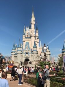 Leia mais sobre o artigo Tudo que você precisa saber para visitar os parques da Disney em Orlando